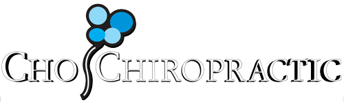 chochiropractic logo